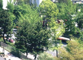 20040427sinryoku_L.jpg 866623 212K