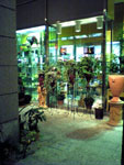 20041029flower_shop_L.jpg 480640 122K