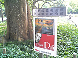 20060924dali1_L.jpg 640480 226K