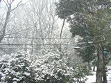 20080123snow04.jpg 640480 96K